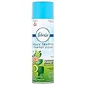 Bissell Febreze Gain Scent Heavy Traffic Carpet Foam, 22 Ounce