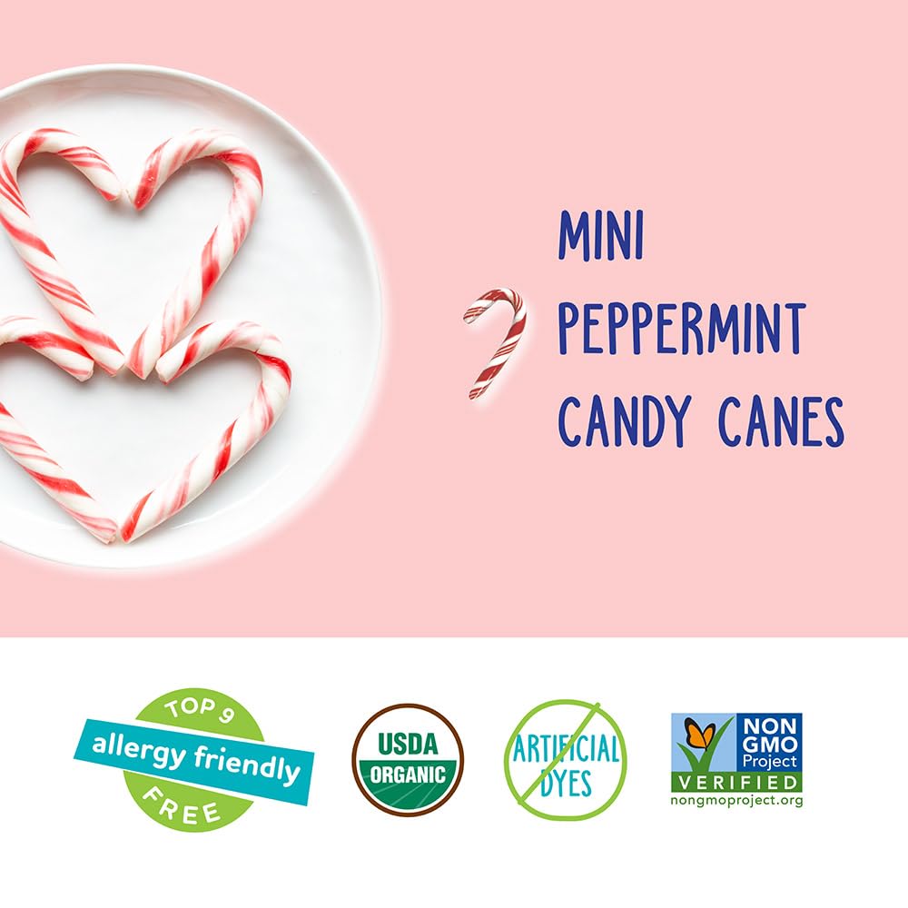 YumEarth Organic Holiday Mini Candy Canes, 30 Count