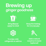 Tipson Organic Ginger Herbal Infusions - Ginger Mint Flavor - All Natural, USDA Organitc - 20 Premium Tea Bags (Pack of 1)