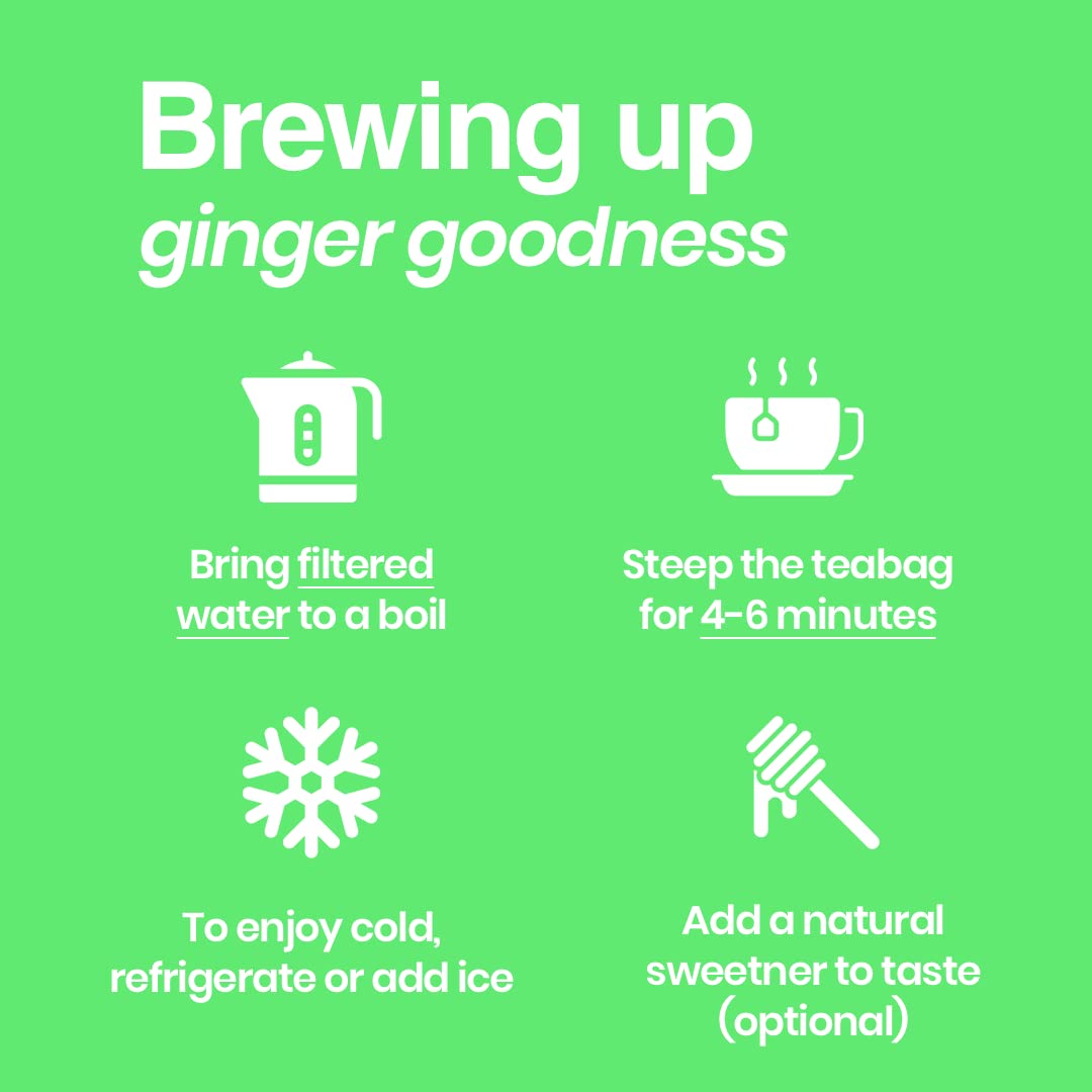 Tipson Organic Ginger Herbal Infusions - Ginger Mint Flavor - All Natural, USDA Organitc - 20 Premium Tea Bags (Pack of 1)