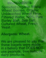 Alvarado Street Bakery Organic Sprouted Wheat Original Bagel, 20 Ounce -- 6 per case.