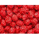 Smarty Stop Sweet and Salty Red French Burnt Peanut Candies (5 Pound (Pack of 1))