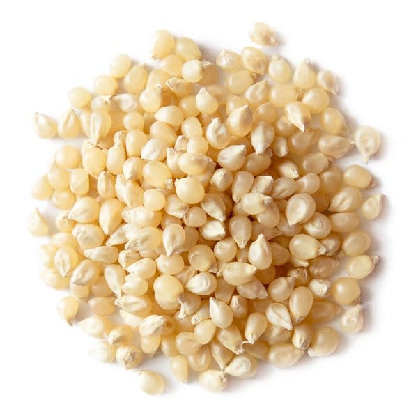 Food to Live Organic White Popcorn Kernels, 1.5 Pounds - Hulless Uncooked Whole Corn Ideal for Popping. USA Grown, USDA Certified. Non-GMO, Vegan