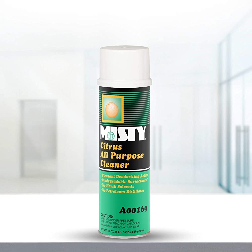 MISTY Citrus All-Purpose Cleaner - 19 oz (Case of 12) 1001583 - Biodegradable Aerosol, For Indoor and Outdoor Use, Fresh Citrus Scent