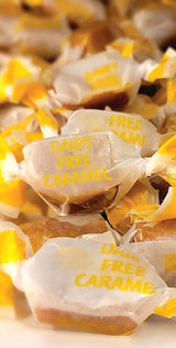 AvenueSweets - Handcrafted Organic Dairy Free Vegan Individually Wrapped Soft Caramels - 1 lb Box - Vanilla