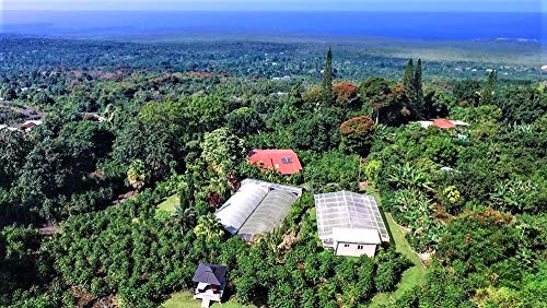 100% Kona Coffee - GROUND, Medium roast, Single estate gourmet coffee, 16 ounces, Farm fresh roasted from Domain Kona Coffee
