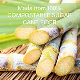 Stalkmarket 100% Compostable Natural Plant Fiber Plate, 6-Inch, 1000-Count Case