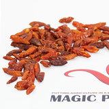 1 KG (35 OZ) Fiery Farms African Birds Eye Dry Chili Pepper Pods (Birdseye or Piri Piri) Non-GMO