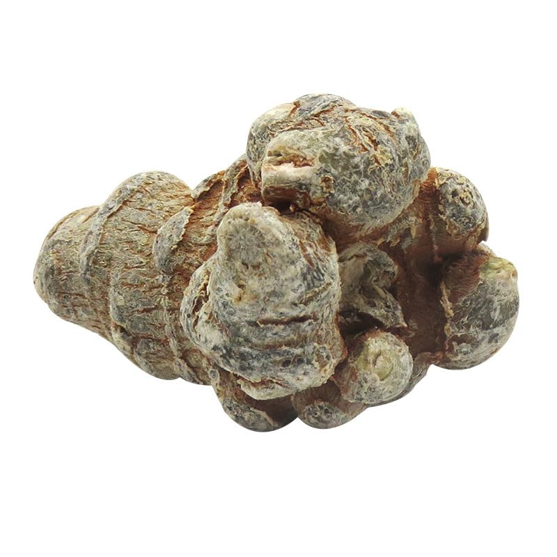 Zercumm China Sanqi 500G Tianqi Yunnan More than Wenshan Pseudo-Ginseng Specifications (12 heads)