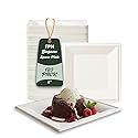 FPN Compostable Square Plates 6 Inch 125 Pack Heavy Duty Disposable Plates | Sugarcane Biodegradable Eco Friendly Dinnerware for Hot & Cold Food