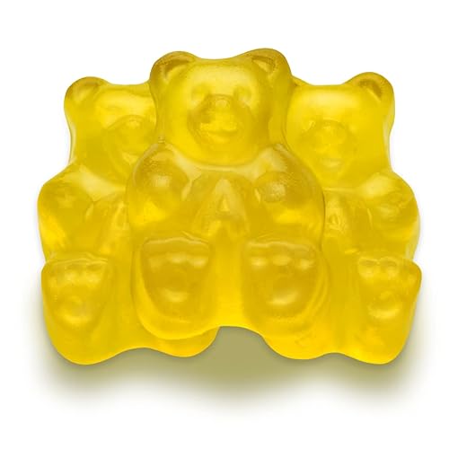 All City Candy Flavorful, Fresh & Soft 5 Pound Bulk Gummi Bear Candy Bags Individual Fruit Flavors World's Best Gummy Candy (Mighty Mango)