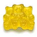 All City Candy Flavorful, Fresh & Soft 5 Pound Bulk Gummi Bear Candy Bags Individual Fruit Flavors World's Best Gummy Candy (Mighty Mango)