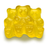 All City Candy Flavorful, Fresh & Soft 5 Pound Bulk Gummi Bear Candy Bags Individual Fruit Flavors World's Best Gummy Candy (Mighty Mango)