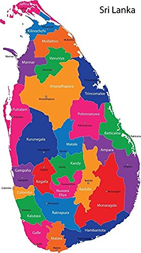 Basilur | "Magic Night " Oriental Tea Collection | 100% Pure Ceylon | 20 Count Foil Enveloped Teabags - Pack of 6
