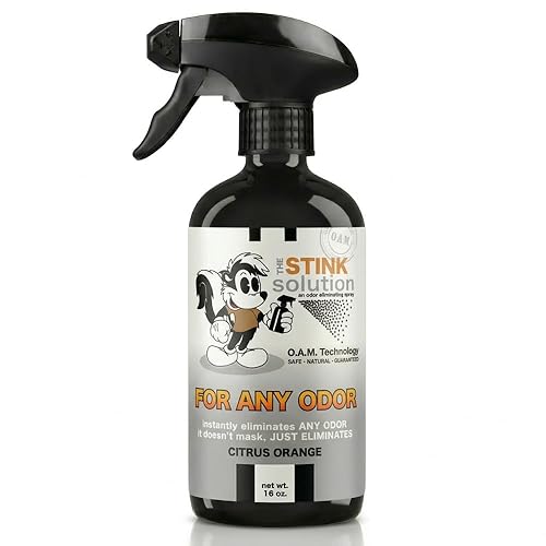 The Stink Solution Citrus Orange For Any Odor Eliminating Spray For Sweat, Urine, & Foul Odors. Safe To Spray On Clothes, Furniture, Mattresses