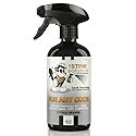 The Stink Solution Citrus Orange For Any Odor Eliminating Spray For Sweat, Urine, & Foul Odors. Safe To Spray On Clothes, Furniture, Mattresses