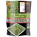 Explore Asian Gluten Free & Organic Edamame Spaghetti 200g