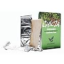 Natural Mayan Chewing Gums "Chicza" - Box Of 10 x 12 Spearmint Gums