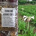 Trinh Nu Hoang Cung Say Kho - Thao Duoc - Magical Dried Trinh Nu Hoang Cung Tea Herbal Tea Crinum Latifolium Herb Tea Sudarshana 250 Gram