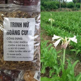 Trinh Nu Hoang Cung Say Kho - Thao Duoc - Magical Dried Trinh Nu Hoang Cung Tea Herbal Tea Crinum Latifolium Herb Tea Sudarshana 250 Gram