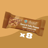 Sunbelt Bakery Peanut Sweet & Salty Chewy Granola Bars, 8-1.0 OZ Bars