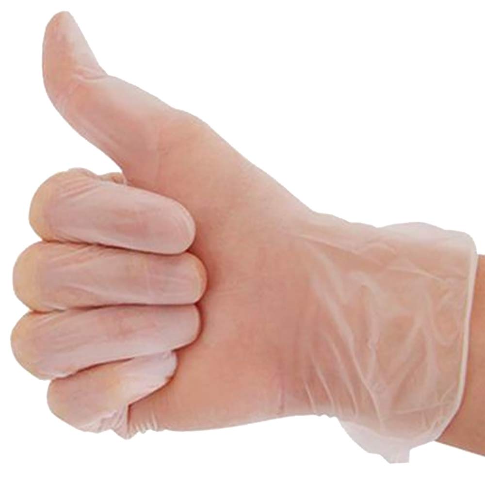 Powder-Free. Vinyl Gloves. 100 Gloves. (Transparent, M)