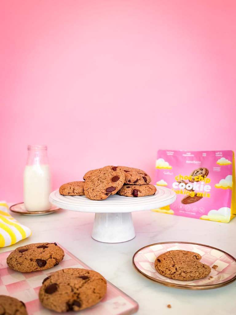 NOWHERE BAKERY Vegan Gluten Free Paleo Chocolate Chip Cookie Baking Mix (Makes 15 cookies) - Allergen Friendly, Nut Free No Refined Sugar 11 OZ Bag