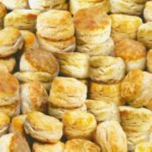 Robert Kaufman Feast Mode SRKD 21537 14 Natural Biscuits