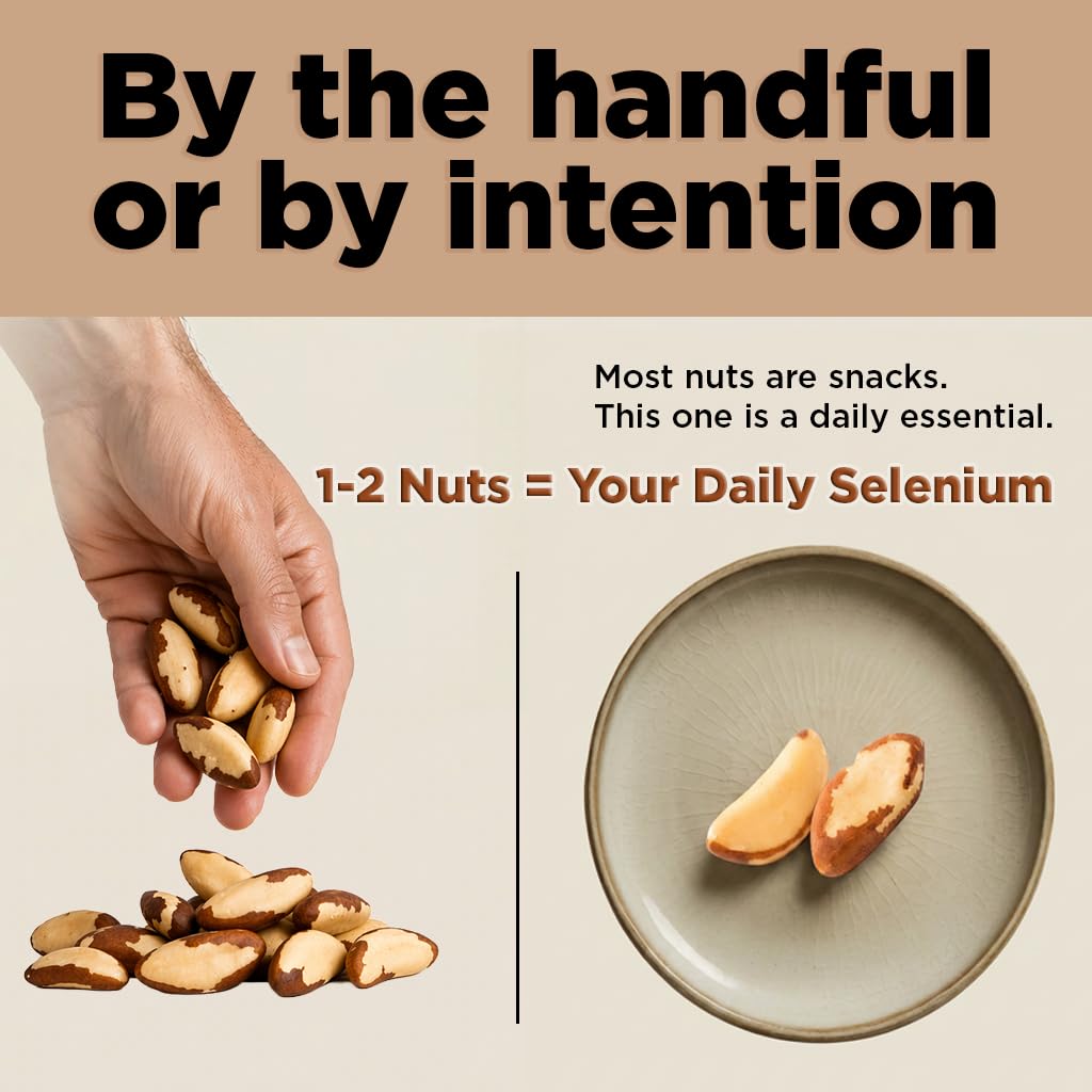 Premium Wild Harvested Raw Brazil Nuts, 1 lb (16oz) - High Selenium, Batch Tested Peanut & Gluten Free, Non-GMO, Kosher, Resealable Bag
