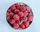 Fresh Frozen Organic Heirloom Raspberries by Northwest Wild Foods - Healthy Antioxidant Fruit Diet - for Smoothies, Pies, Jams, Syrups (9 Pounds)