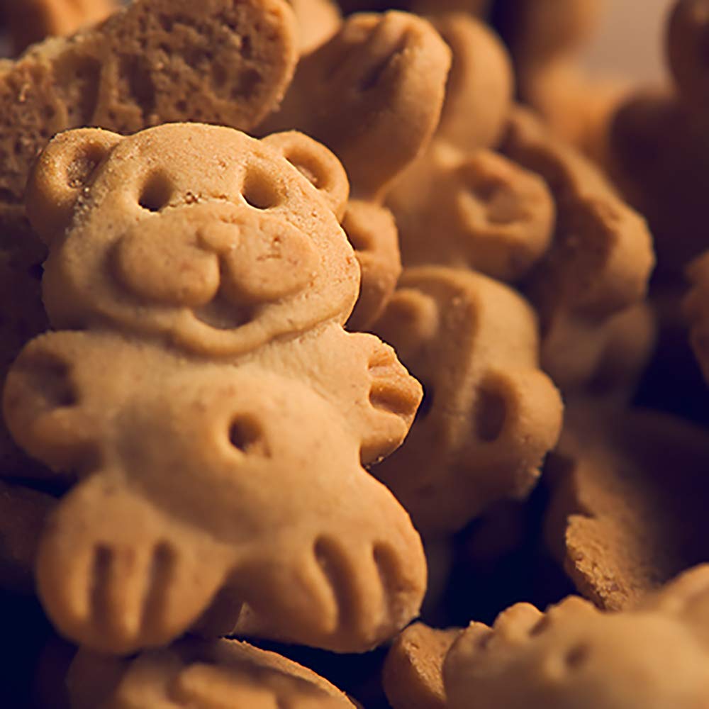 Readi-Bake BeneFIT Whole Grain Jungle Animal Cracker Snacks, Fun-To-Eat Single Serve Pouches, No Artificial Colors or Flavors, 1 Ounce (Pack of 200)