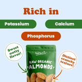 Food to Live - Organic Imported Raw Almonds, 25 Pounds Non-GMO, Whole, No Shell, Unpasteurized, Unsalted, Vegan, Kosher, Keto-Friendly.