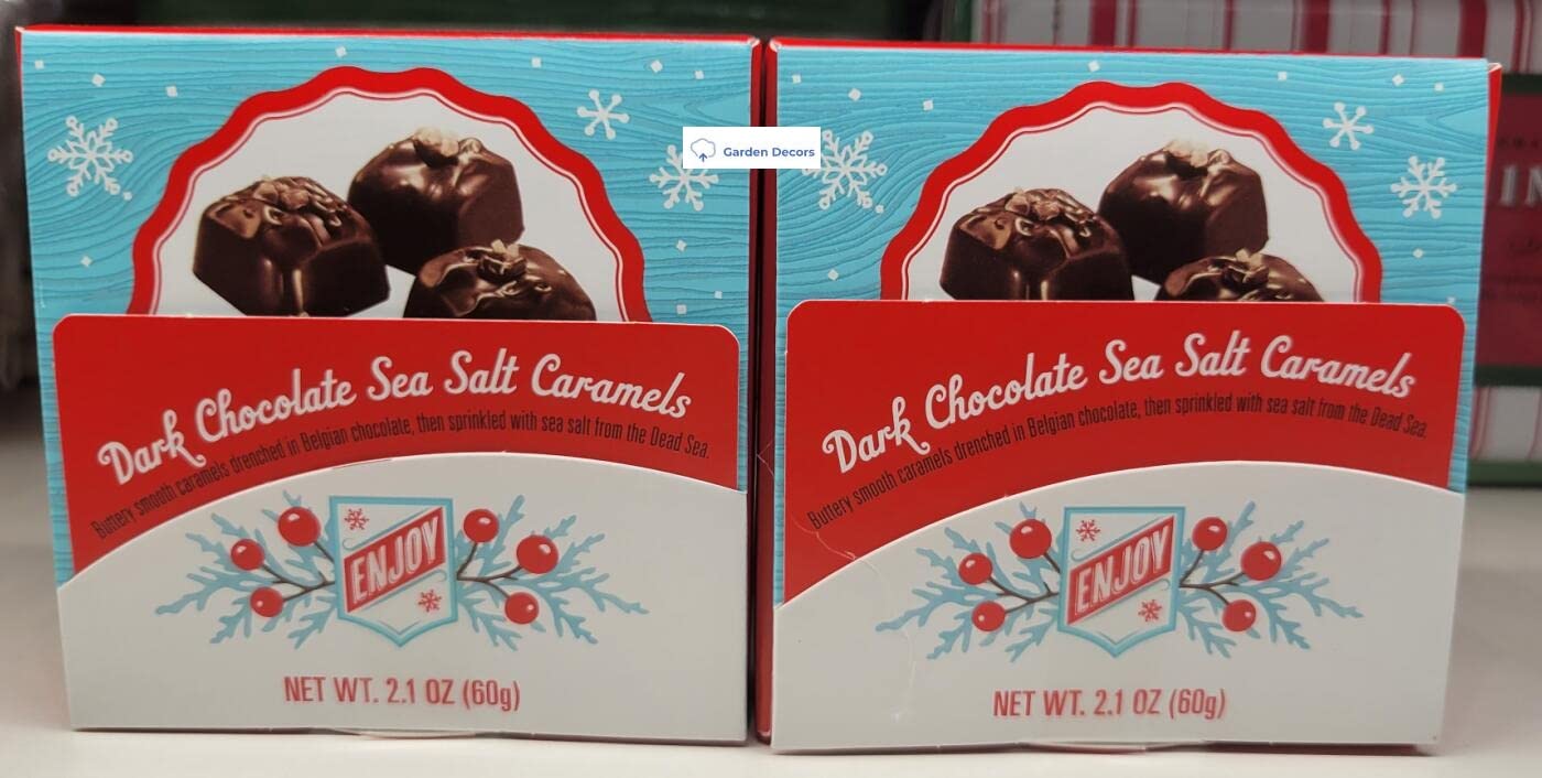 Trader Joe's Dark Chocolate Sea Salt Caramels Holiday Box 2.1oz 60g (Two Boxes)