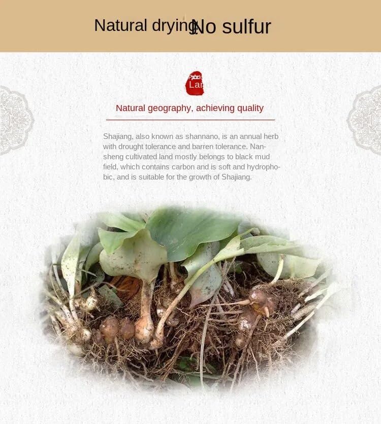 Zercumm Sand Ginger Dry Lilac Seasoning Ginger 250G