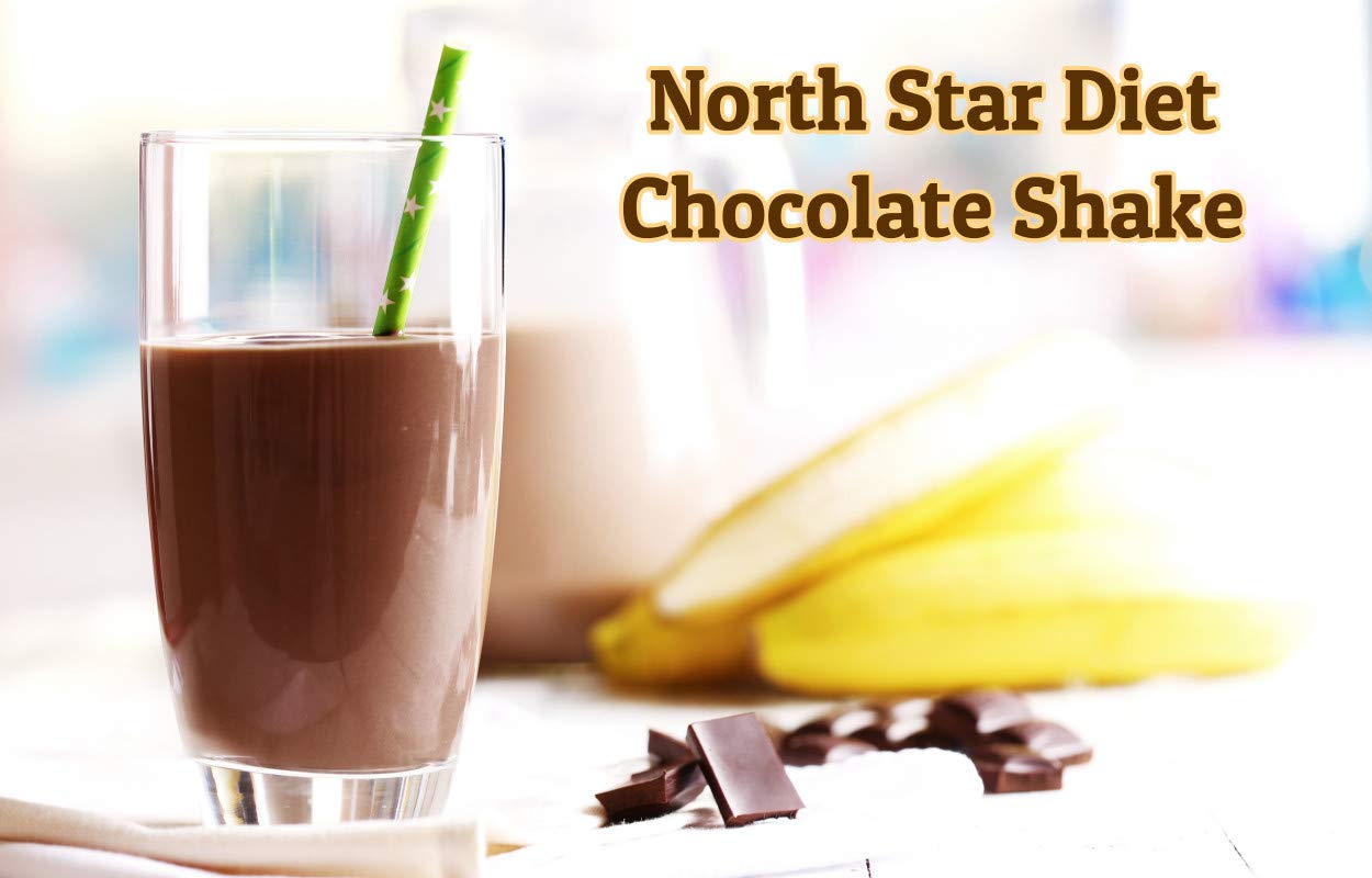 Chocolate Pudding/Shake (Meal Replacement Shakes) …