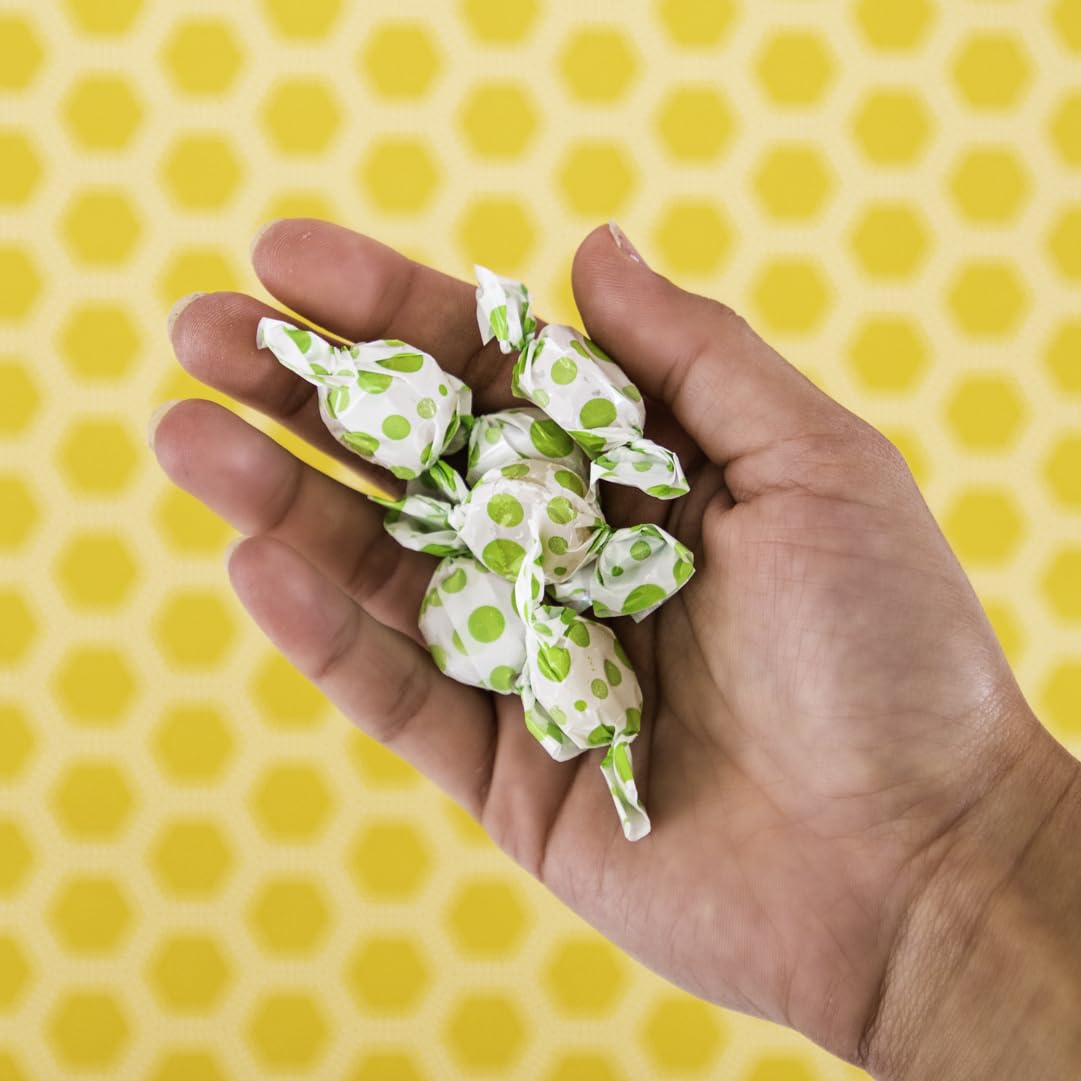 USDA Organic Matcha Ginger Tummydrops, Gluten Free & Vegan, 33 Individually Wrapped Drops in a Resealable Bag