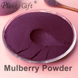 Plant Gift 100% Pure Mulberry Powder ??? Natural, Great Flavor for Drinks, Smoothie and Beverages, Non-GMO Powder - No Filler, No additives, Yogurt