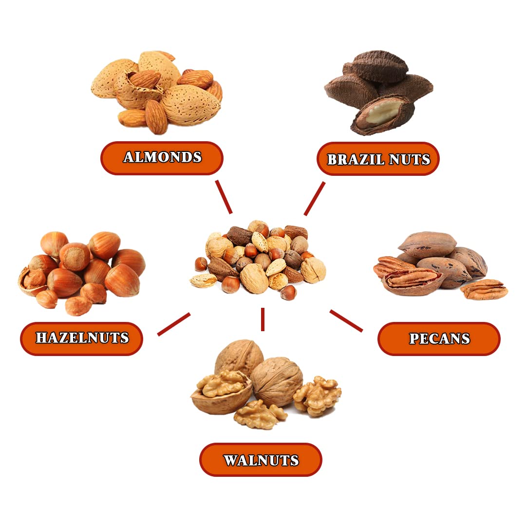 Presto Sales Mixed Nuts in Shell 16 oz | Brazil Nuts, Hazelnuts, Walnuts, Almonds and Pecan | Raw, Fresh, High Protein, All Natural Nuts Mix | Packed