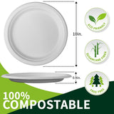 10 Inch Compostable Paper Plates?White 150 Pack?, 100% Sugarcane Bagasse Large Disposable Plates, Sturdy Heavy Duty, Biodegradable Dinnerware