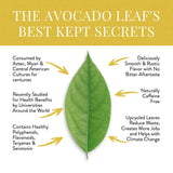 Avocado Leaf Lemon Tea Blend - Caffeine-Free | Healthy Herbal Tea | Immune Booster | Cold Brew or Hot Tea | 15 Tea Bags -30 Servings (Non-GMO)