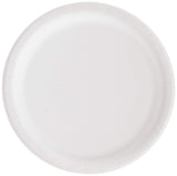 Creative Converting Touch of Color Paper Dinner Plates, 9", Candy Pink, 24 Count