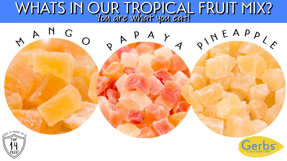 Gerbs Sweetened Tropical Dried Fruit Snack Mix 2 lbs. | Unsulfured, No Artificial Additives, Resealable Bag | Lightly Sweet & Juicy Blend | Top 14