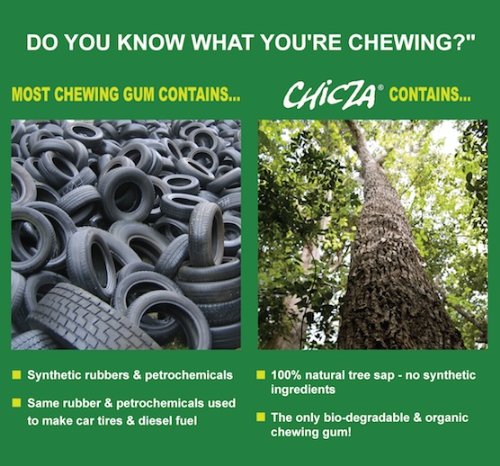 Natural Mayan Chewing Gum "Chicza" - Box Of 10 x 12 Mint Gums