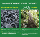 Natural Mayan Chewing Gums "Chicza" - Box Of 10 x 12 Spearmint Gums