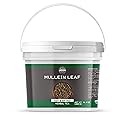 Birch & Meadow 1 Gallon of Mullein Leaf, Cut & Sifted, Herbal Tea