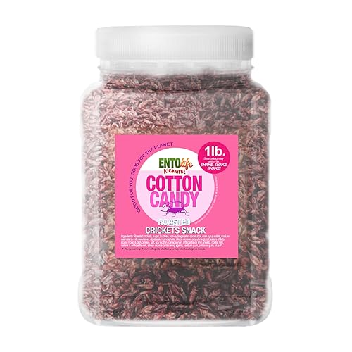 Cotton Candy Flavored Edible Crickets - Pound Size - Pound Size - Crickets you can eat - Farm raised for human consumption, 16 Ounce
