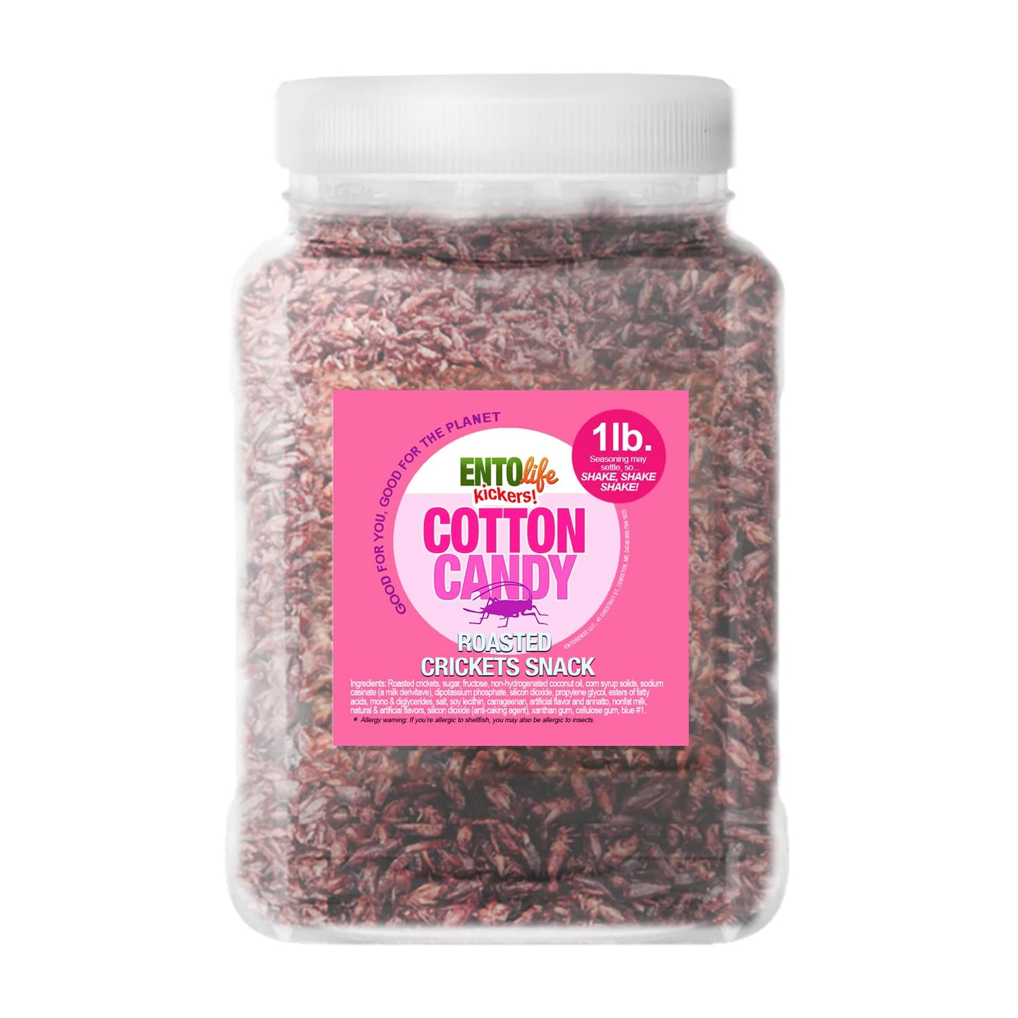 Cotton Candy Flavored Edible Crickets - Pound Size - Pound Size - Crickets you can eat - Farm raised for human consumption, 16 Ounce