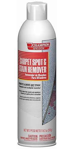 Carpet Spot & Stain Remover, 18 oz can, 1 Count