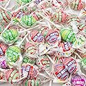Charms Blow Pops with Bubble Gum Center 1 lb - Blow Pop Asst Bulk, Individually Wrapped (23 Pieces), Fruit Flavors