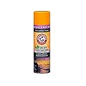 Arm & Hammer Fresh Scentsations Carpet Odor Eliminator, Island Mist - Foam, 15 Oz (15 Oz (Pack of 1))
